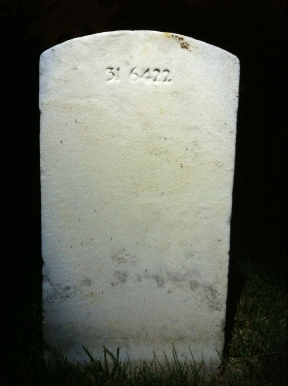 Back of headstone — Rochester F Sims