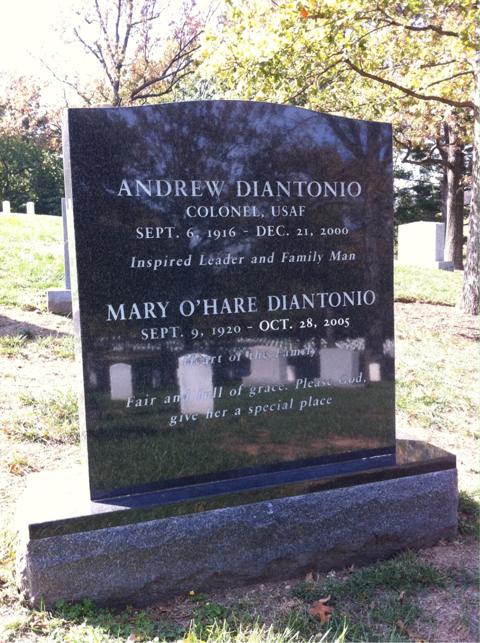Andrew Diantonio