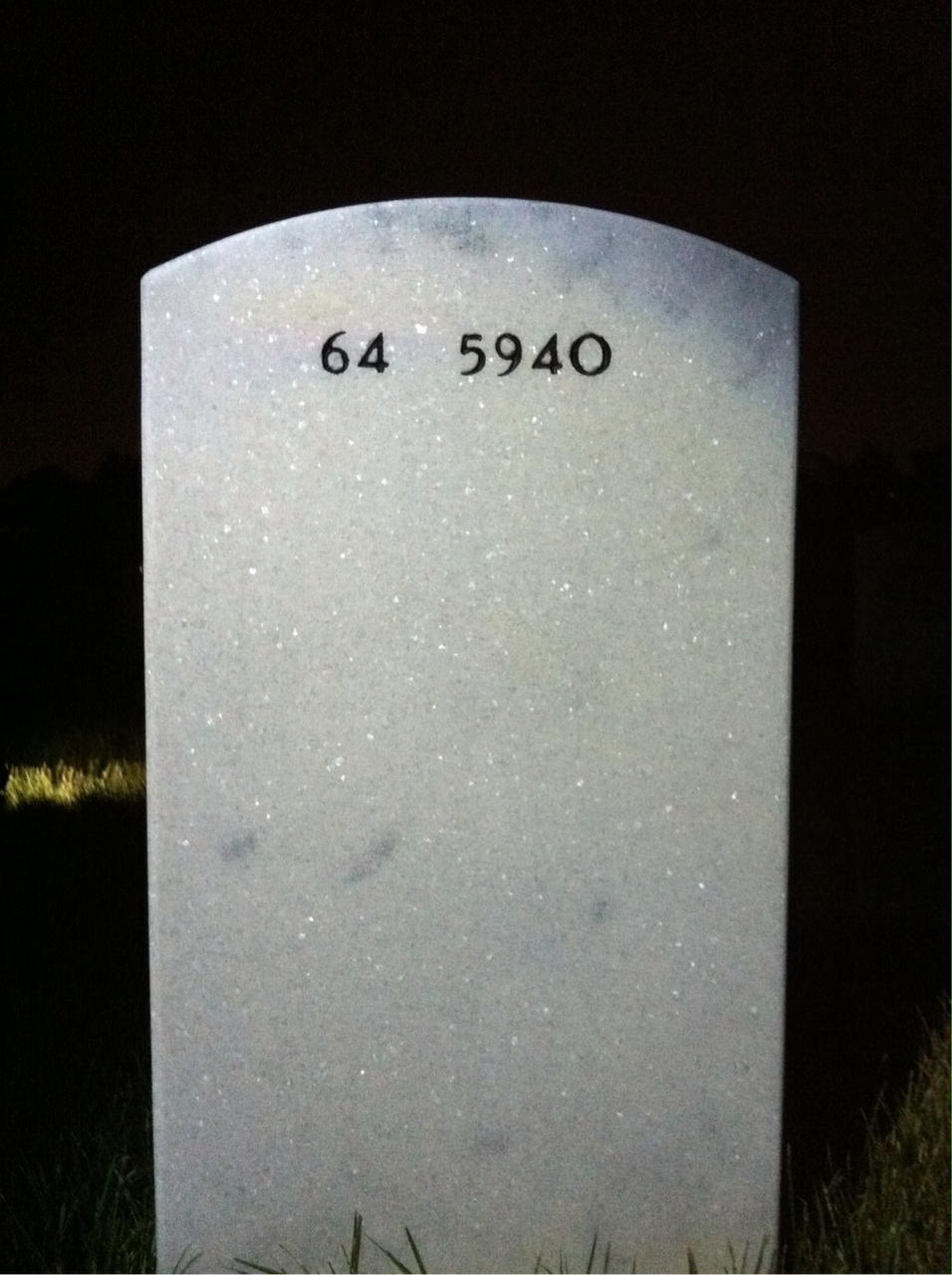 Back of headstone — Charles Fleischer