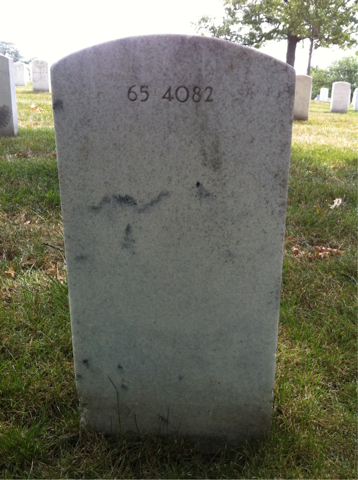 Back of headstone — Thomas Joseph Ward