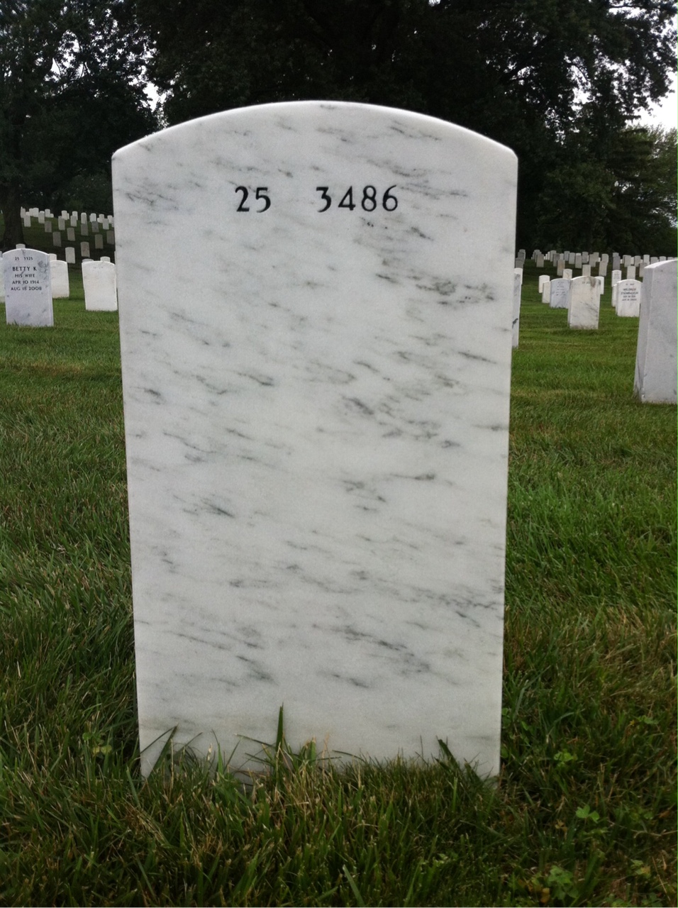Back of headstone — Roy Jonkers
