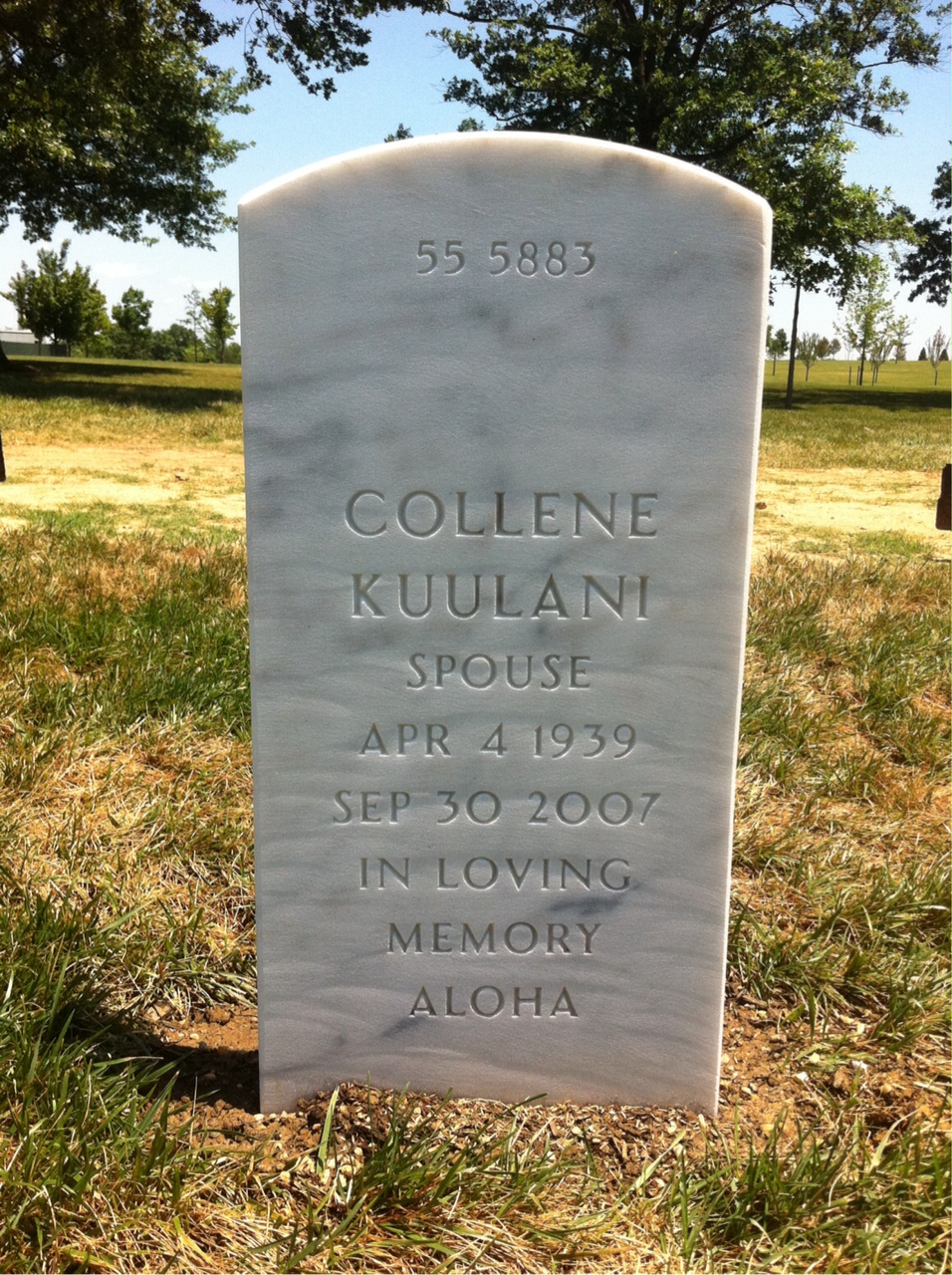 Back of headstone — William Walter Bigler