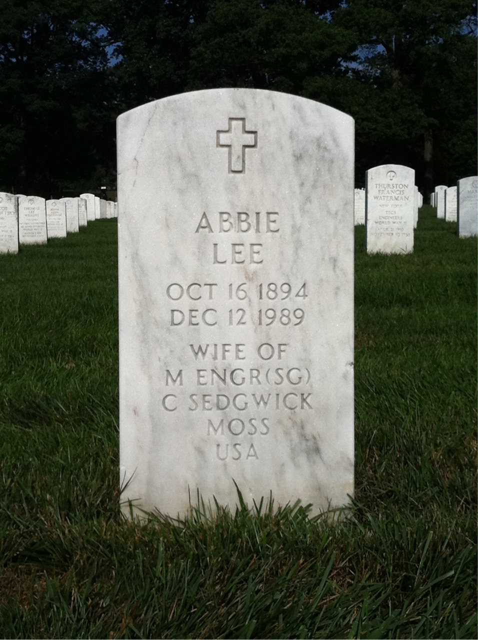Abbie Moss