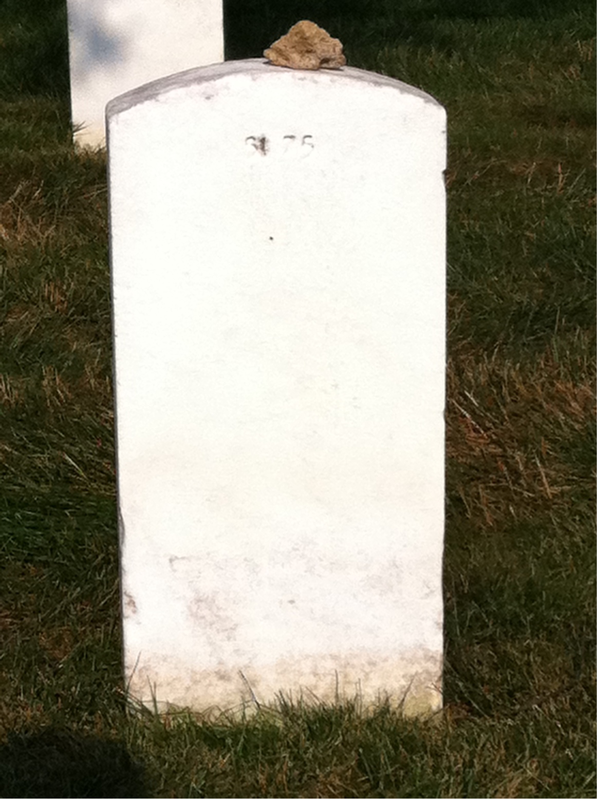 Back of headstone — Douglas Alley