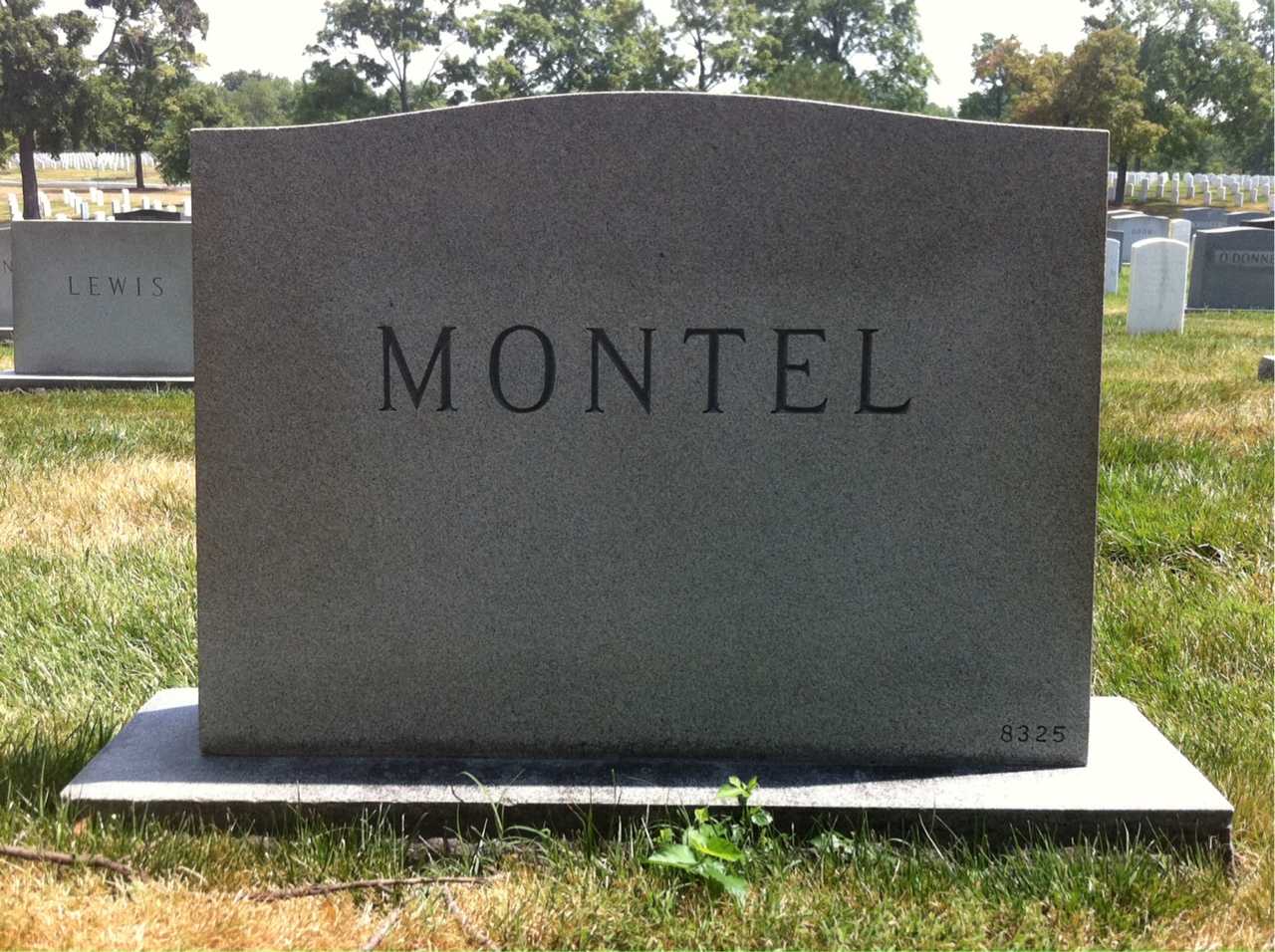 Back of headstone — Erna Montel