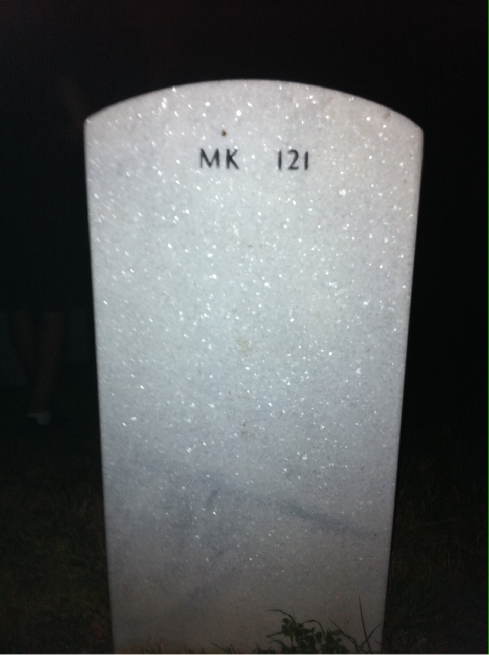 Back of headstone — James Goggin