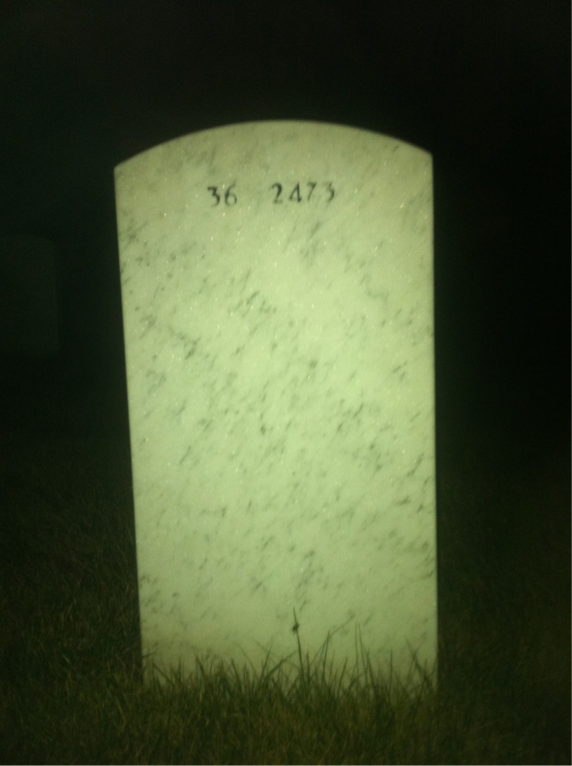 Back of headstone — Ealmon Bradford