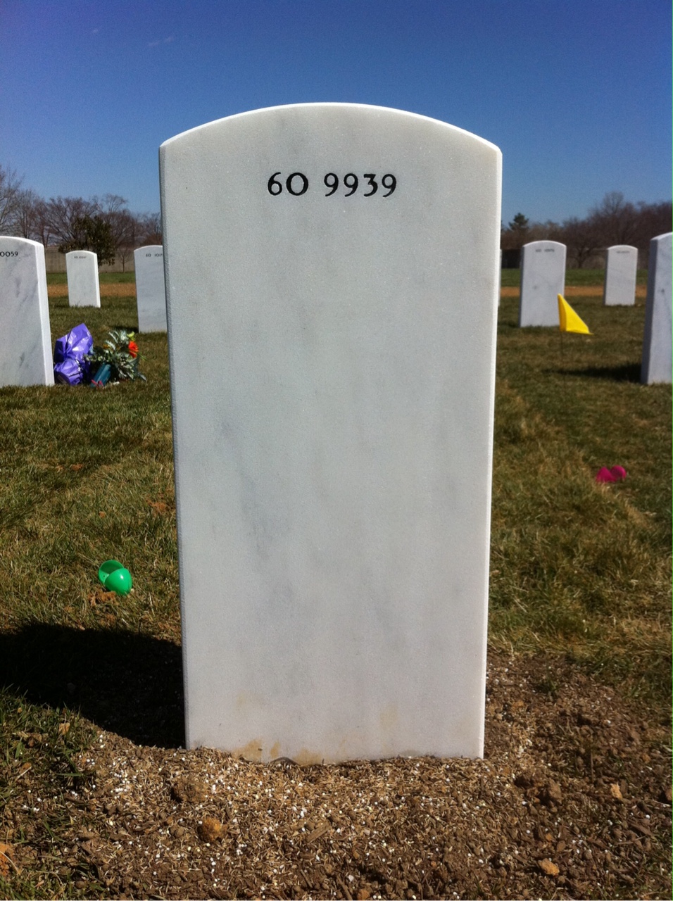 Back of headstone — Nicolas David Checque