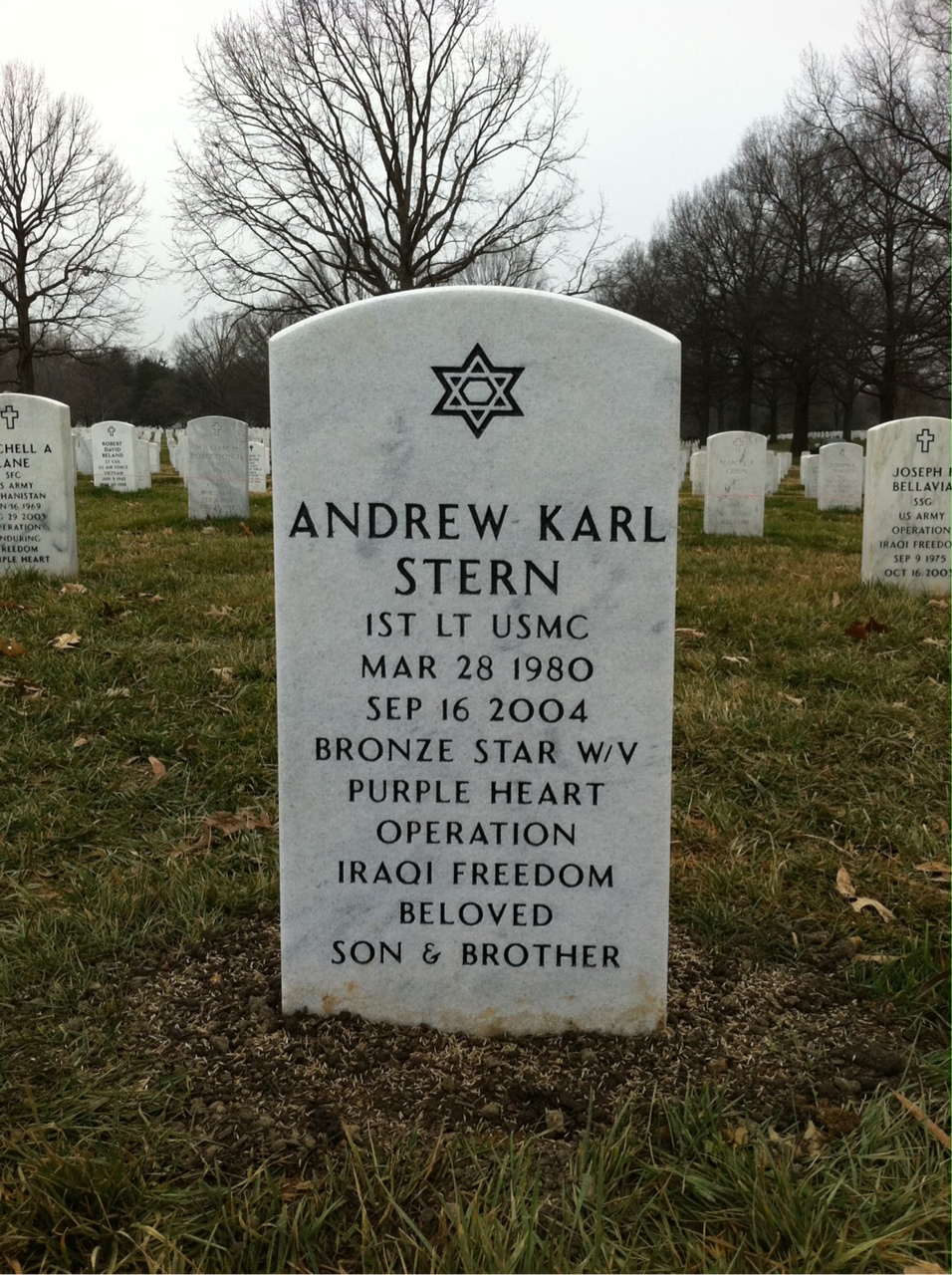 Andrew Stern