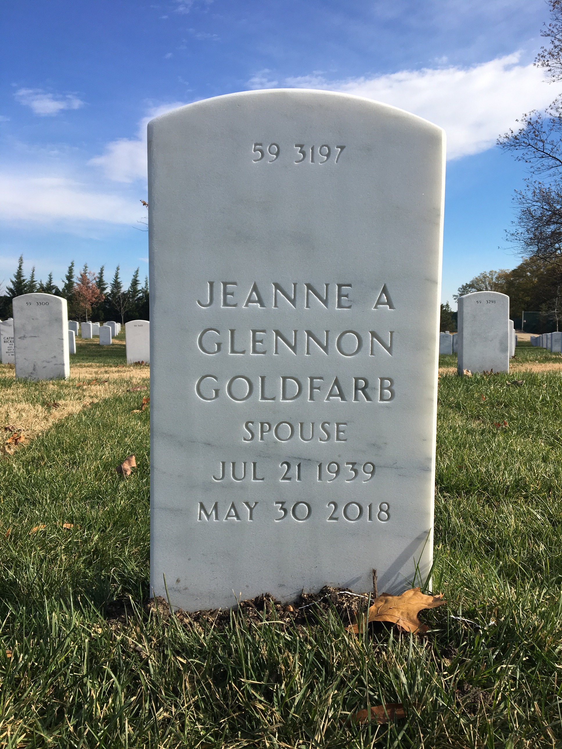 Back of headstone — Richard Goldfarb