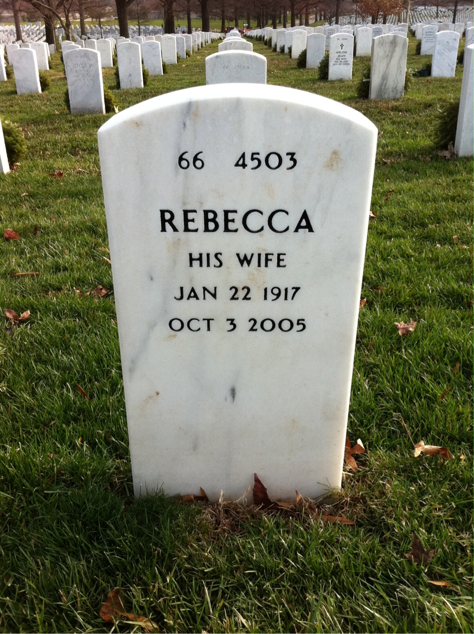 Back of headstone — William Viverette