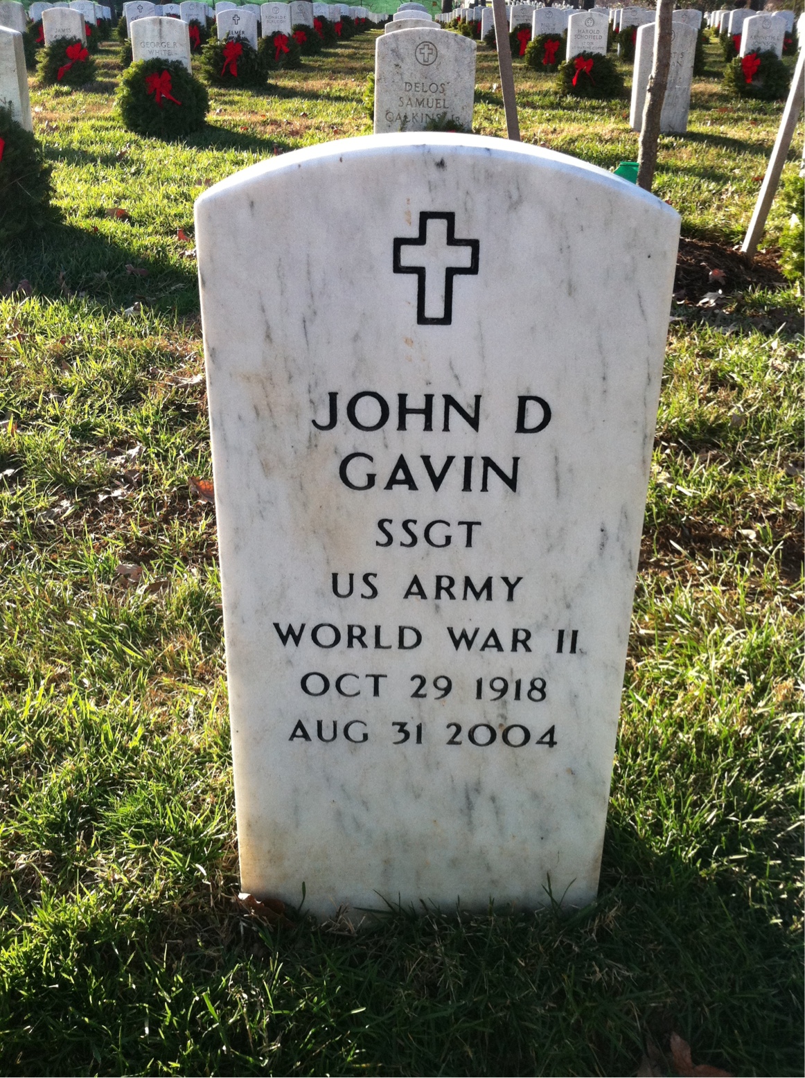 John Gavin