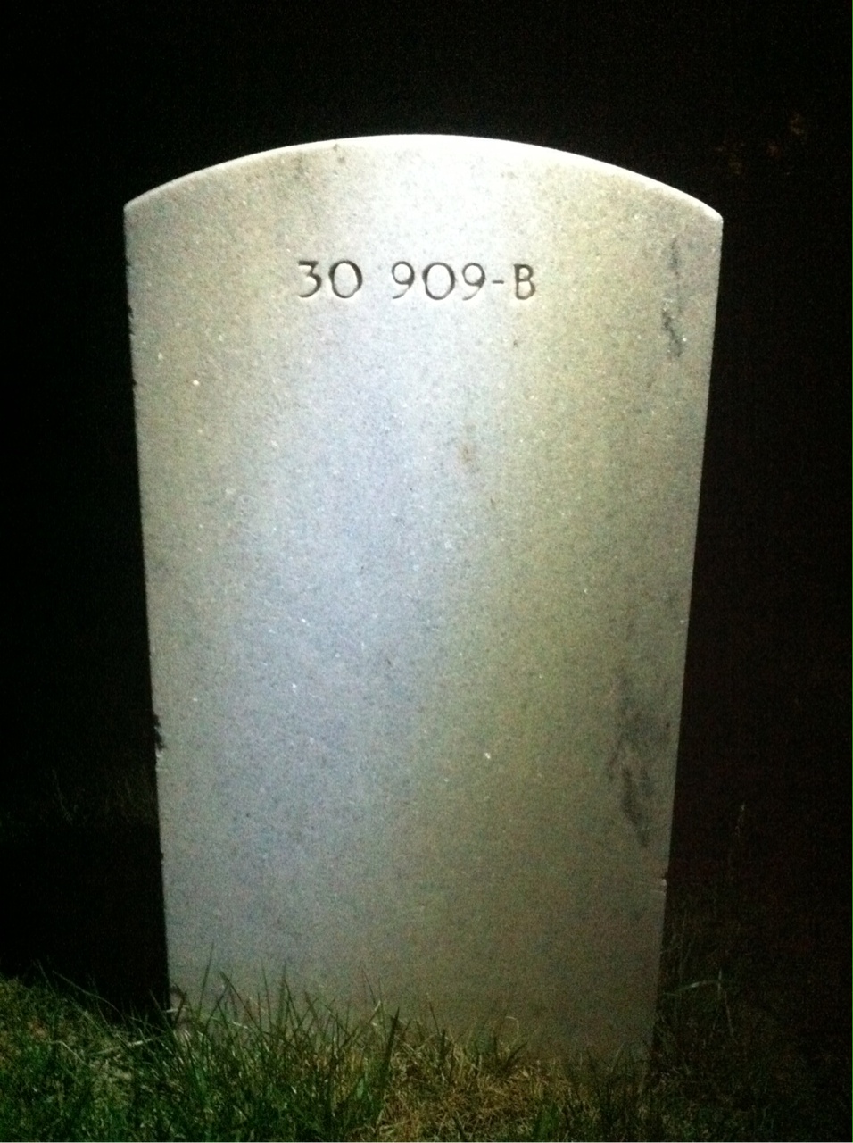 Back of headstone — Alma Baganz