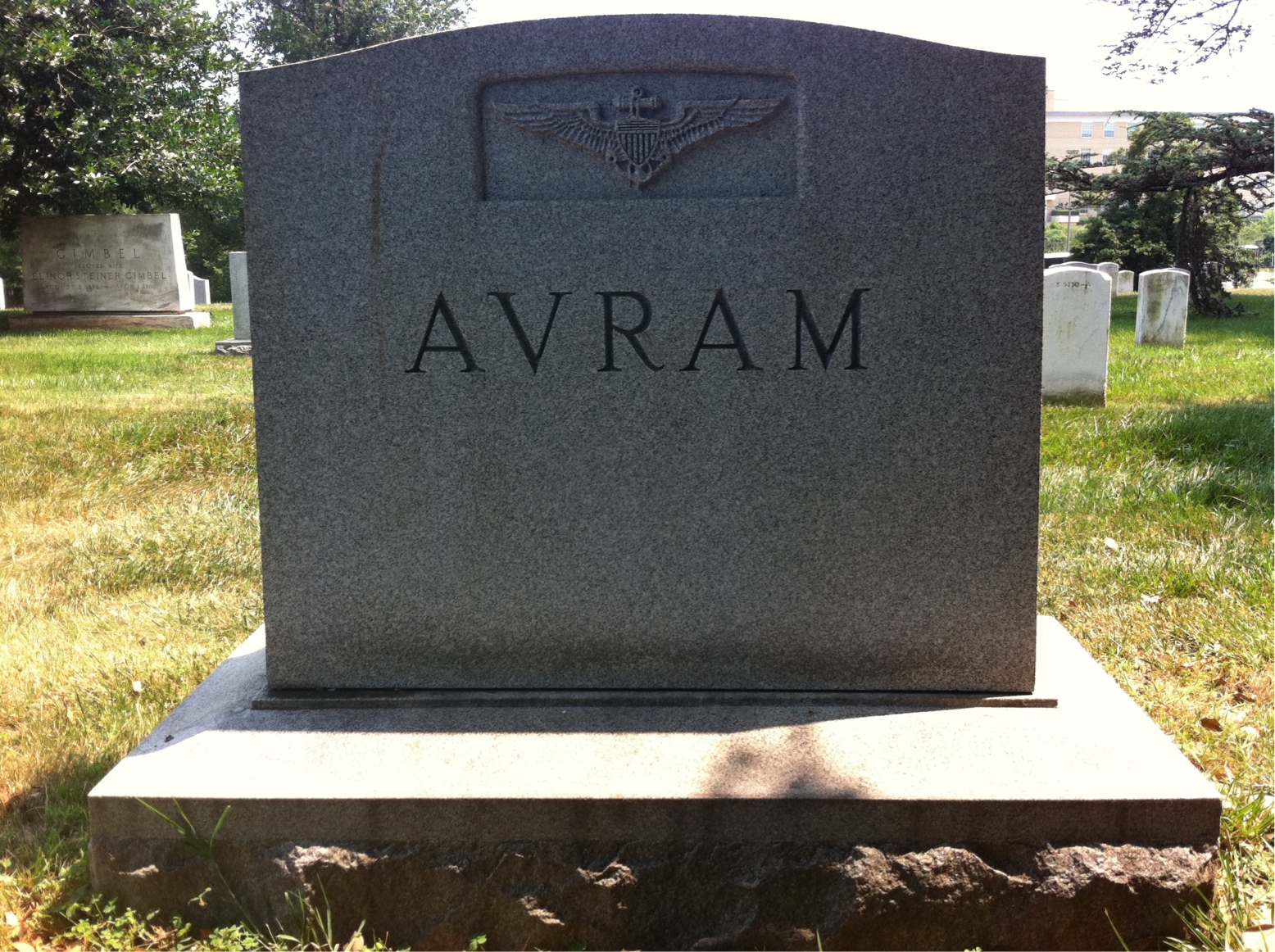 Back of headstone — Lloyd Avram