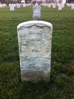 Newton Adams