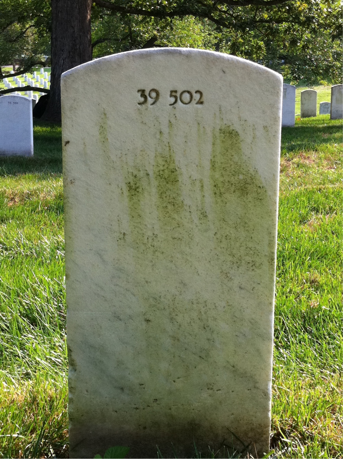 Back of headstone — Gertrude Munsterteiger
