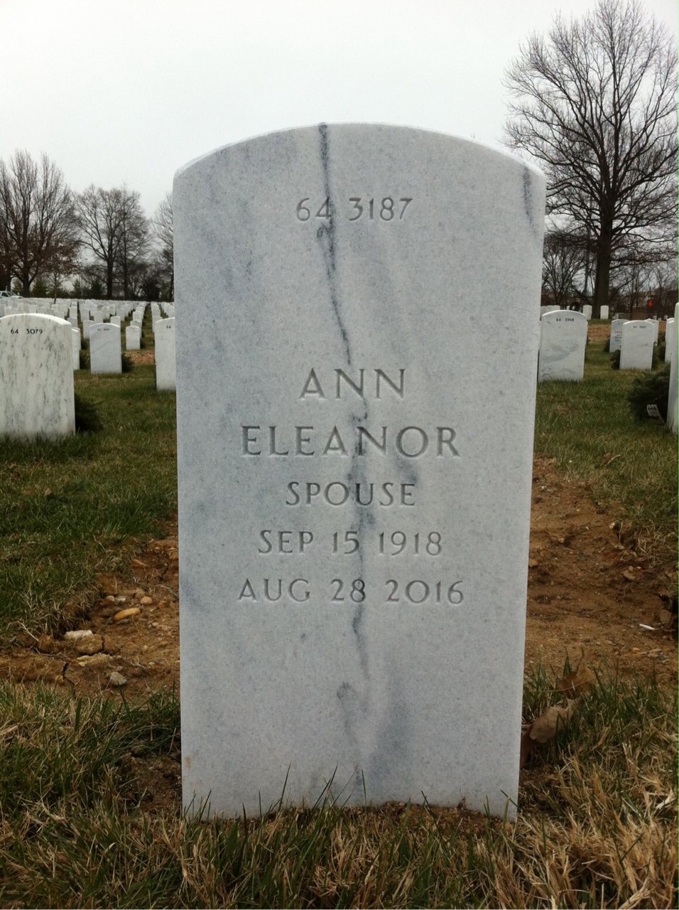 Back of headstone — William Nichols