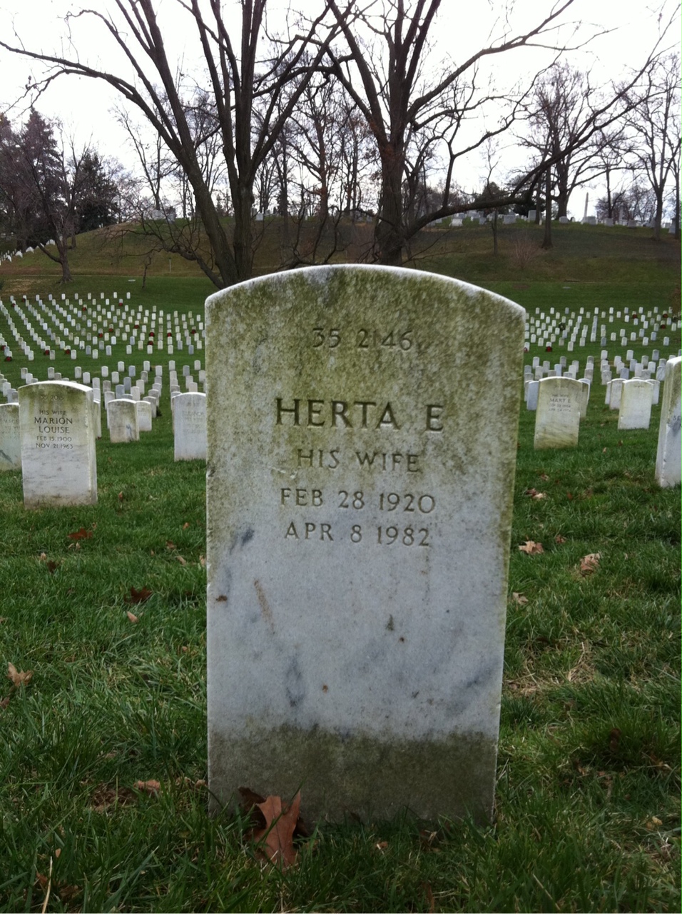 Back of headstone — Herta Adrian
