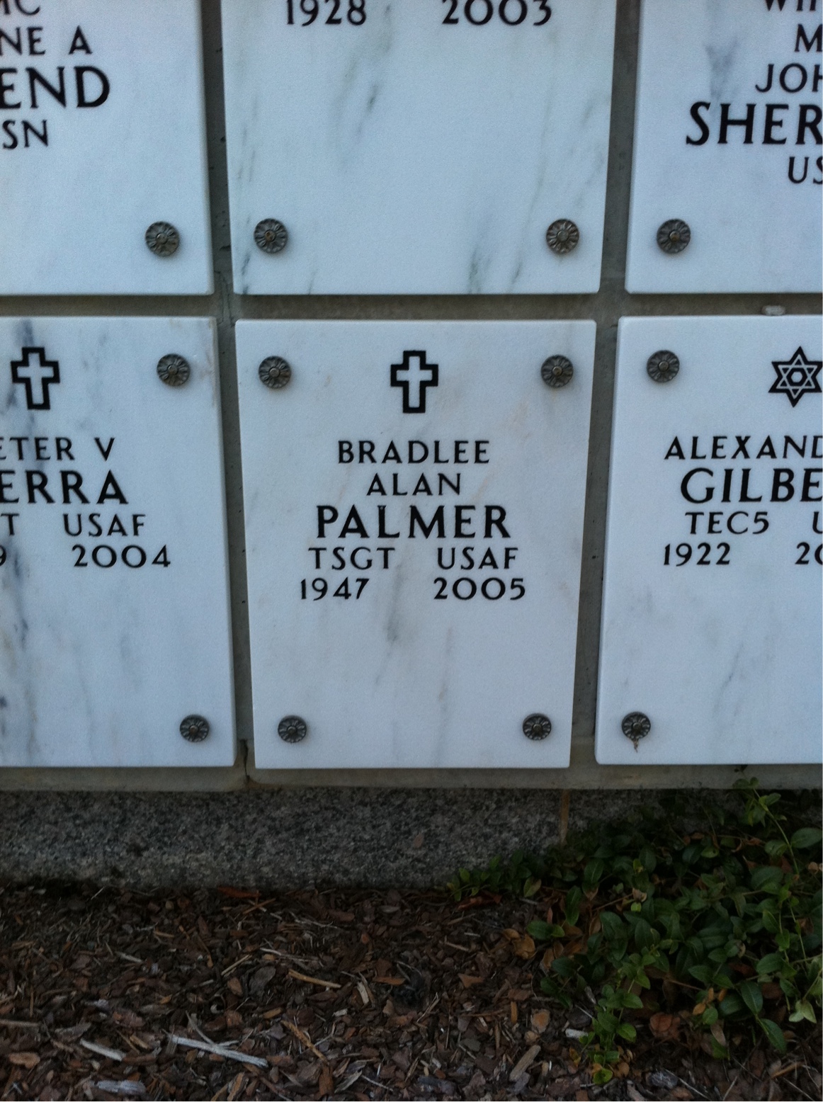 Bradlee Palmer