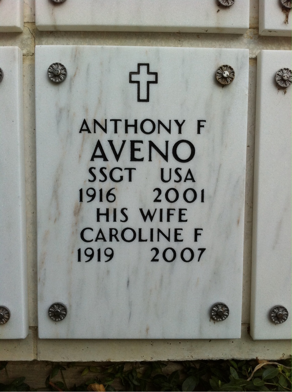 Anthony Aveno