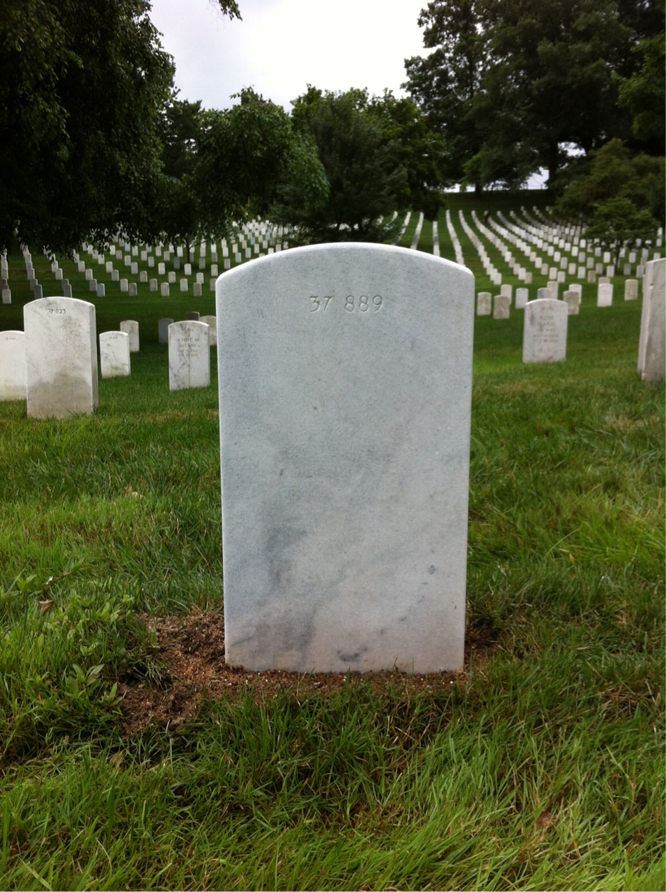 Back of headstone — Doston Montgomery