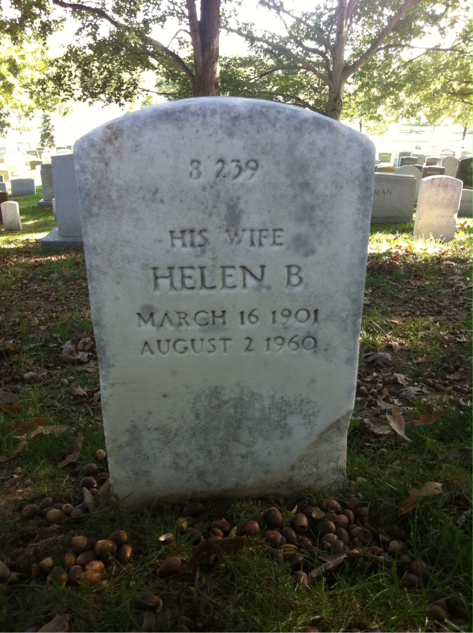 Back of headstone — William Burton Powell