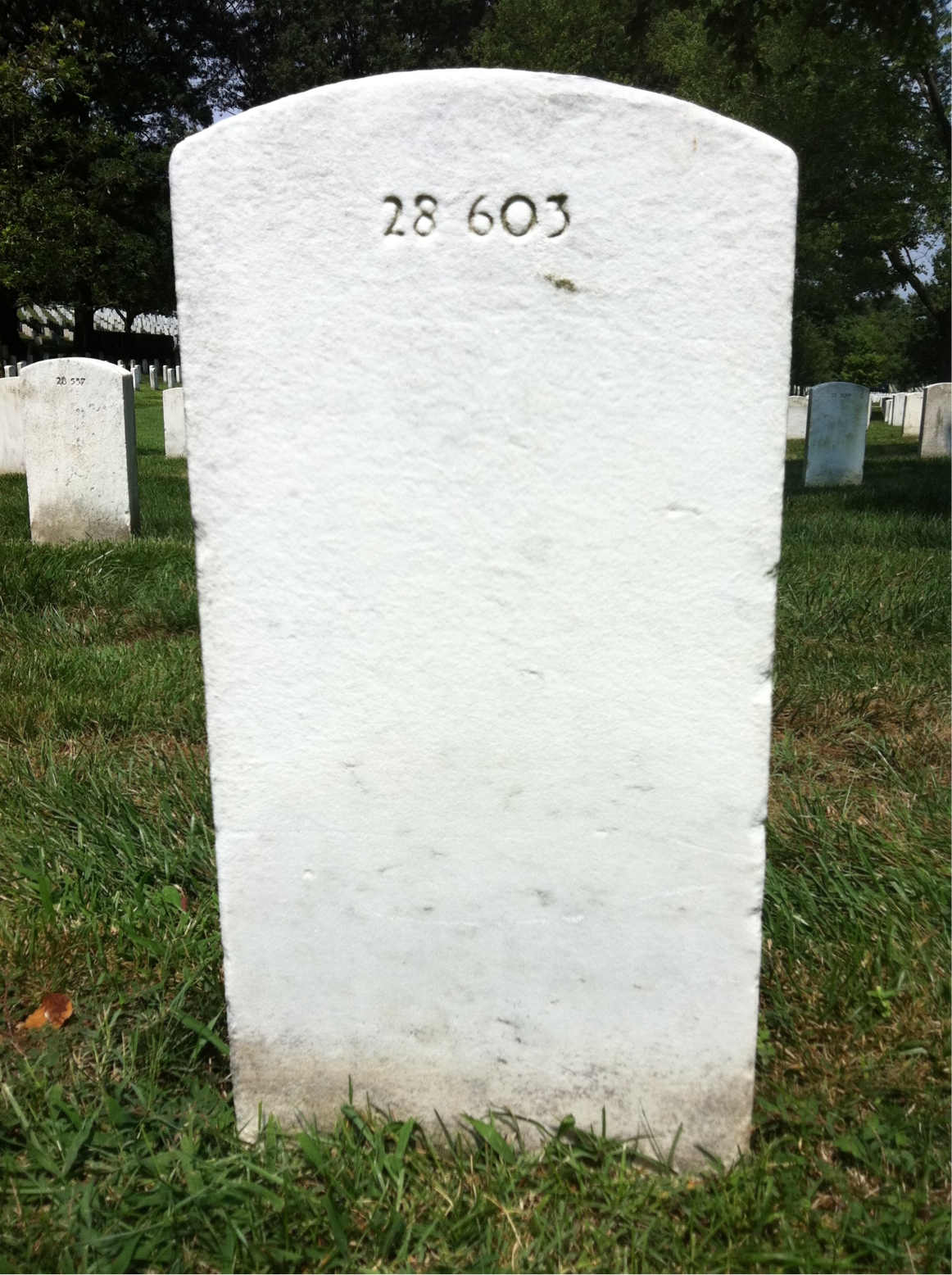 Back of headstone — Etolia Adams