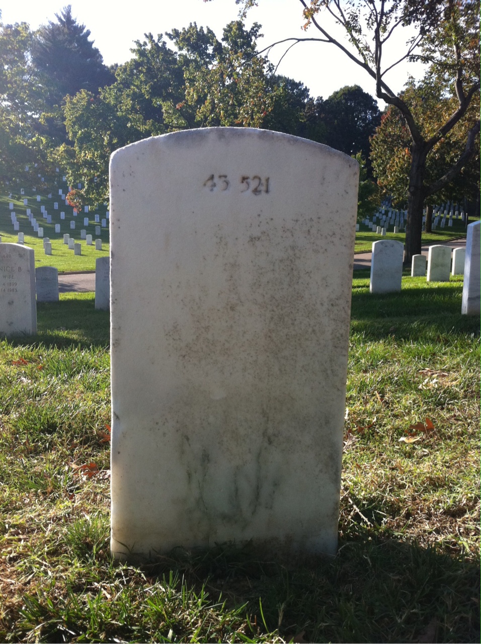 Back of headstone — Albert Arrington