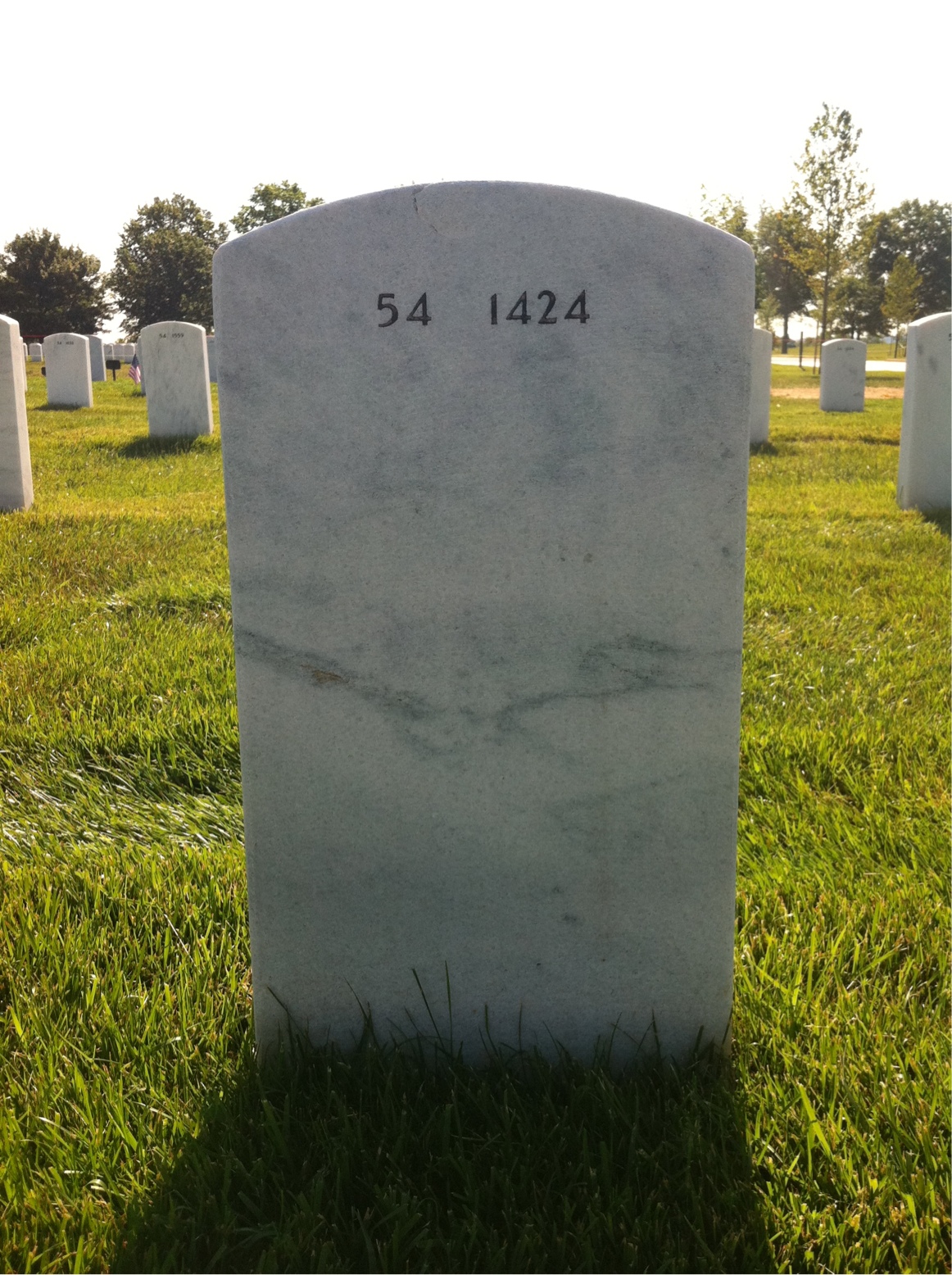 Back of headstone — Willie Leon Irving