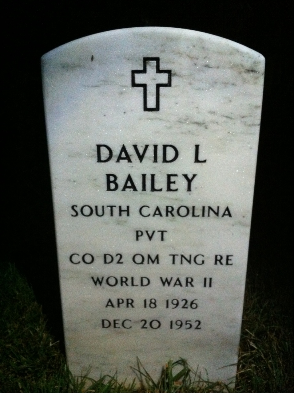 David Bailey