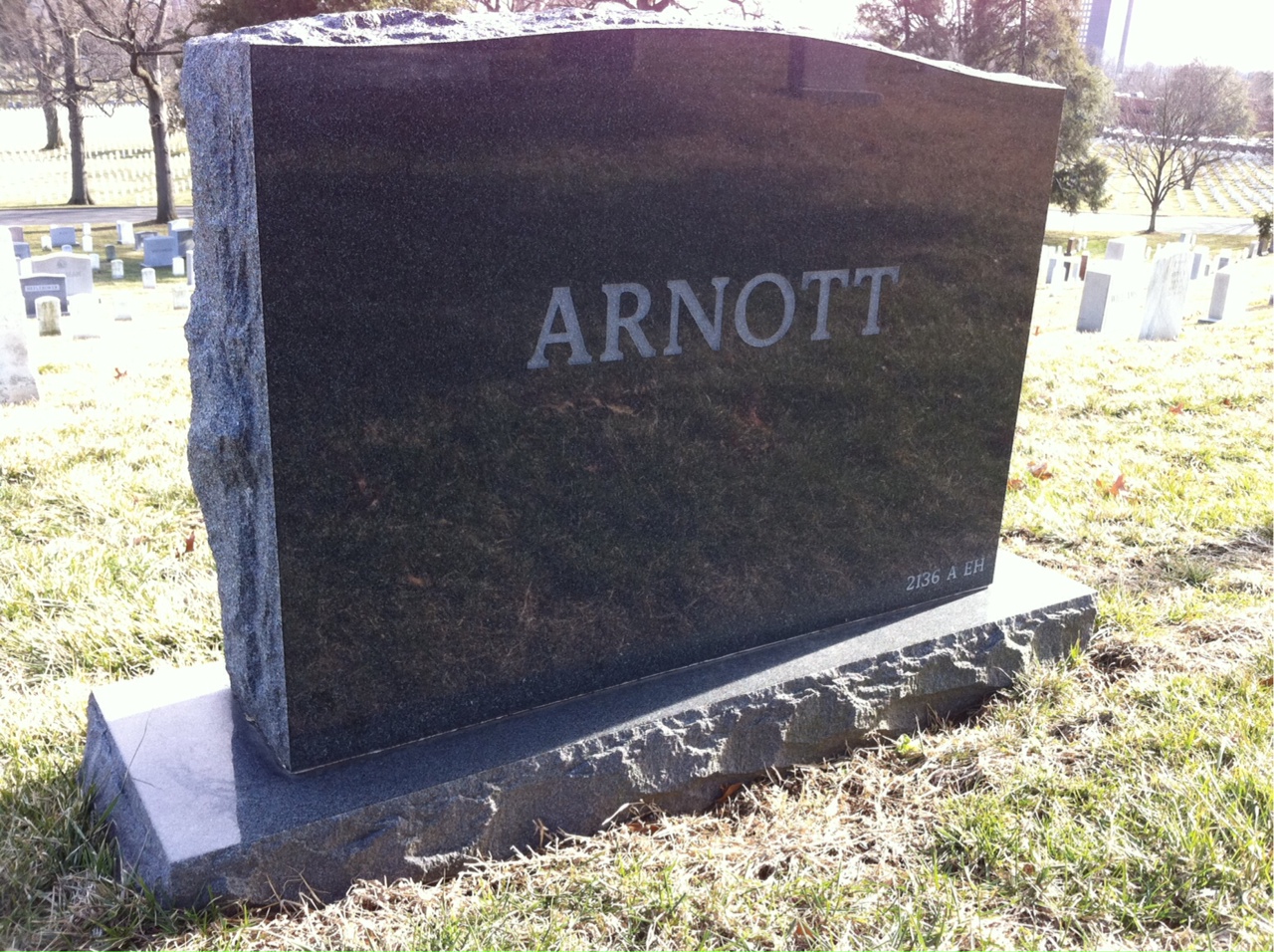 Back of headstone — Thomas Arnott