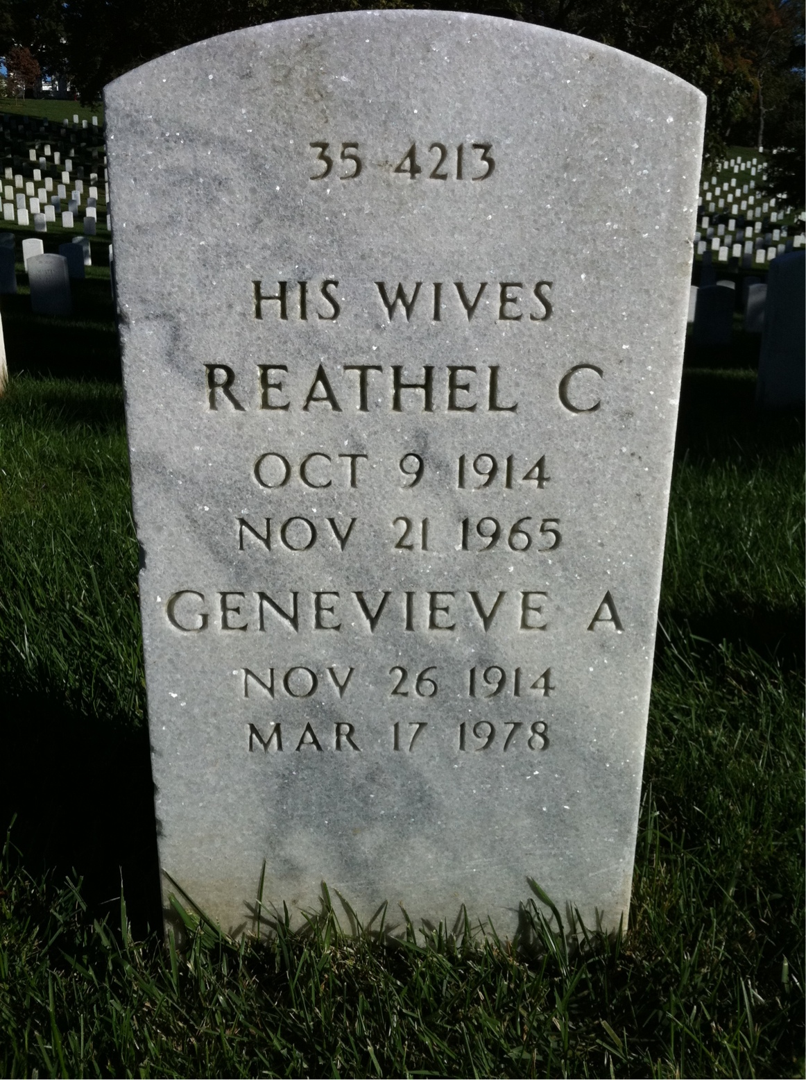 Back of headstone — Myron E Shepler