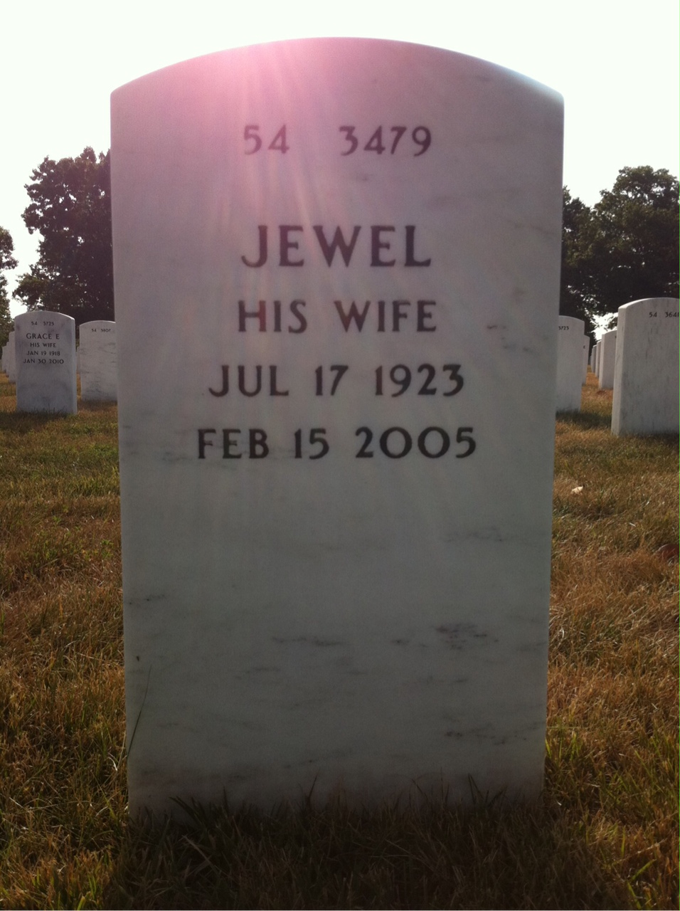 Back of headstone — Manley Dale