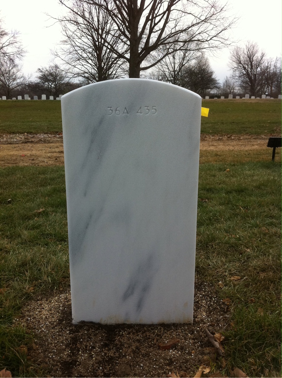 Back of headstone — Ward Proctor Belford