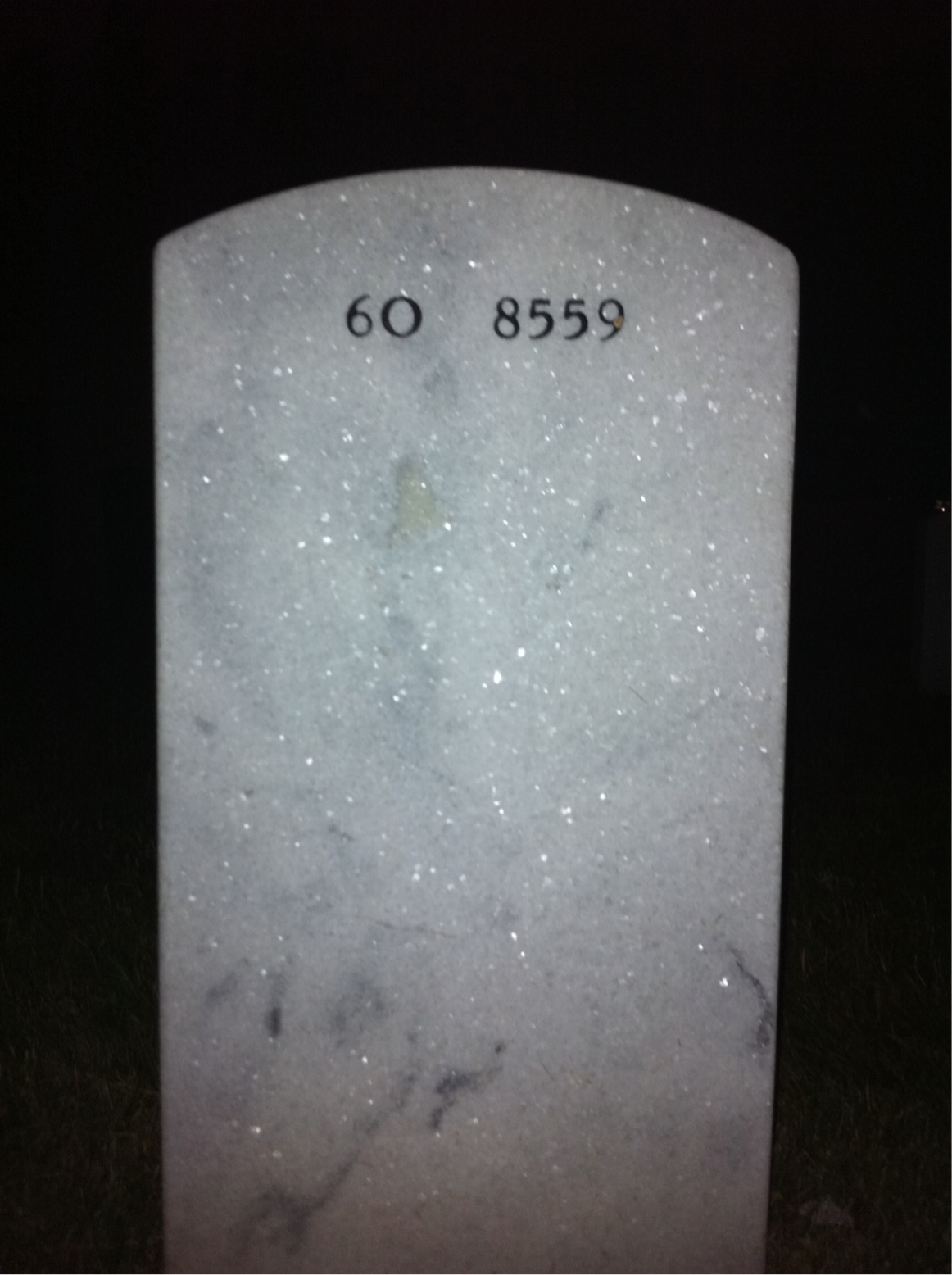Back of headstone — Luke Runyan