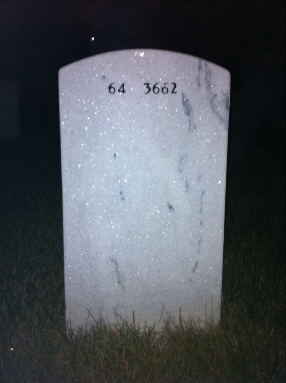 Back of headstone — Robert Berry
