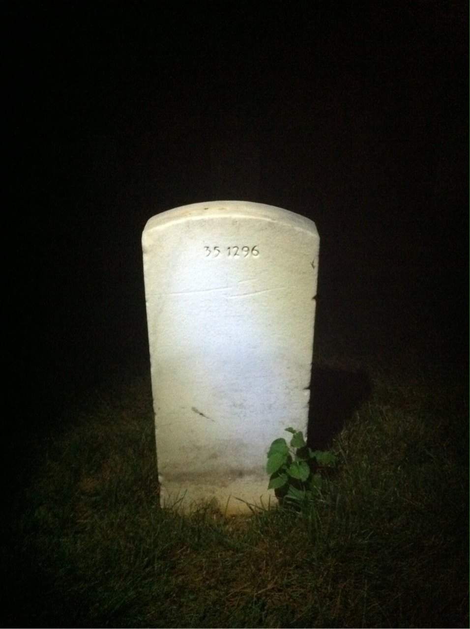 Back of headstone — Roy Bieber