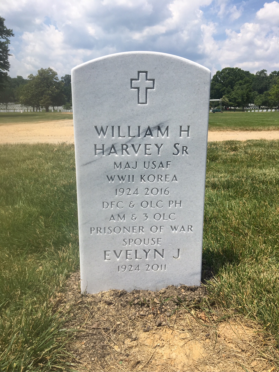 William Harold Harvey