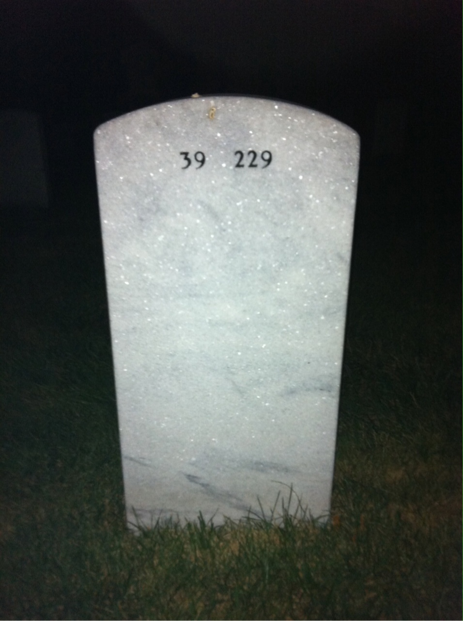 Back of headstone — Billie Cabbage