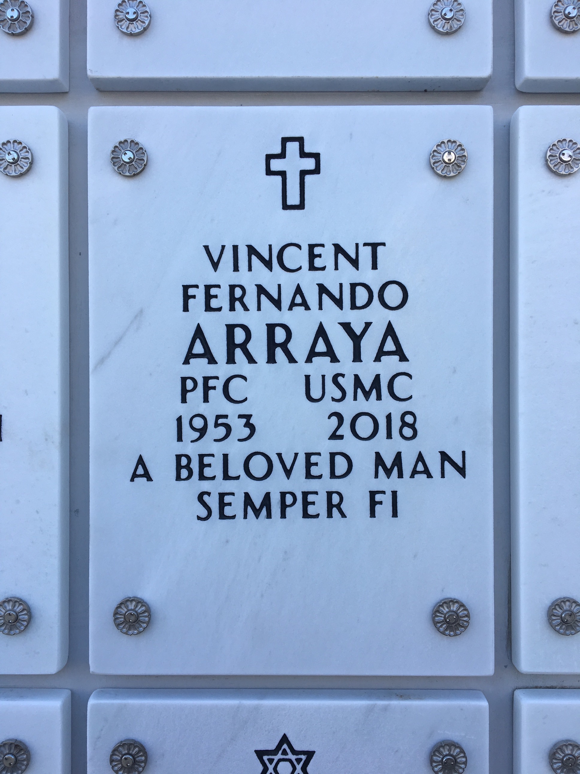 Vincent F Arraya