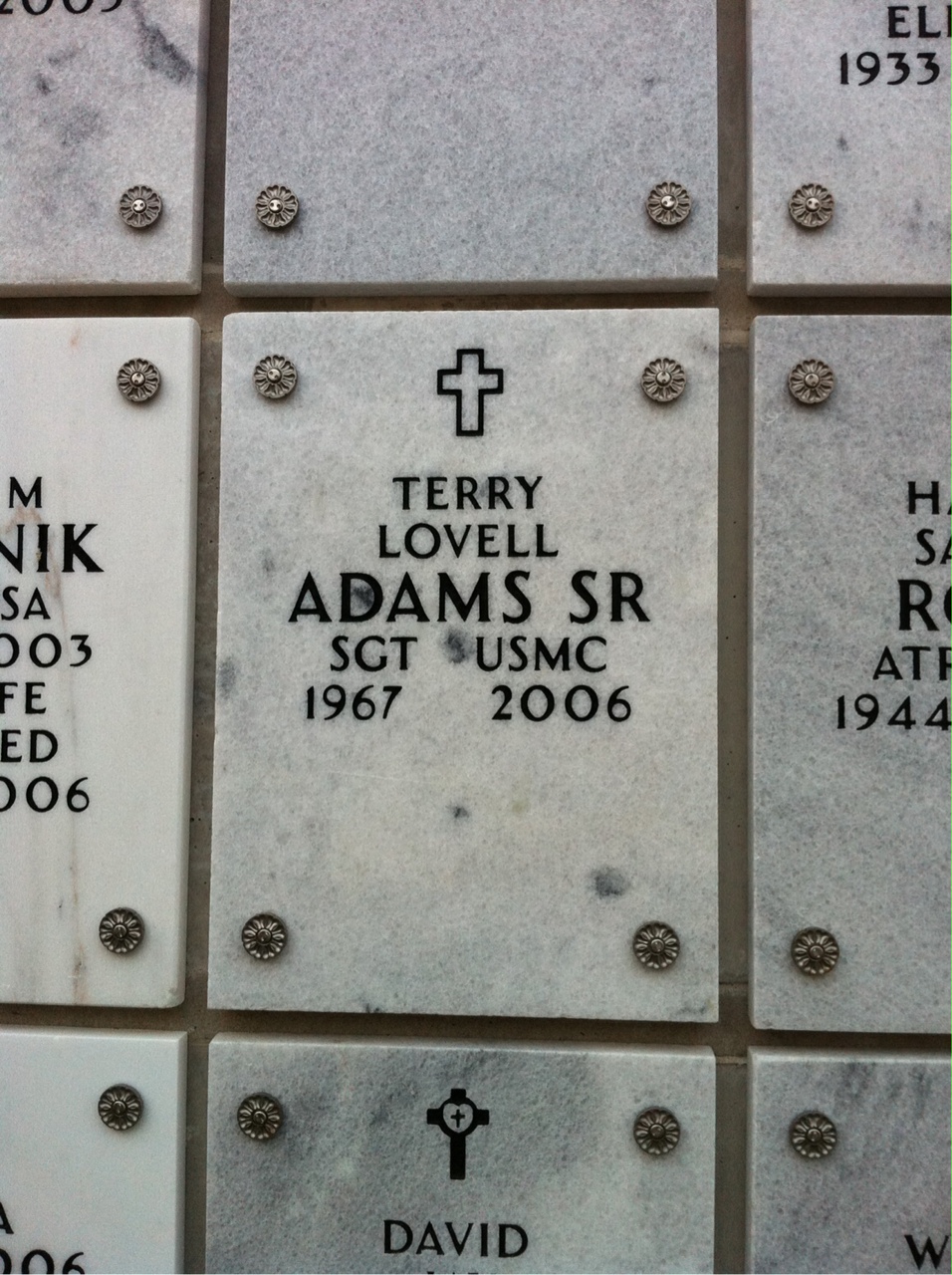 Terry Adams