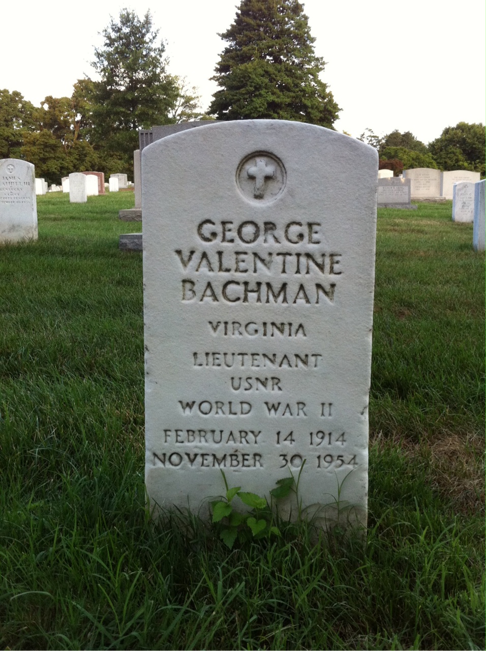 George Bachman