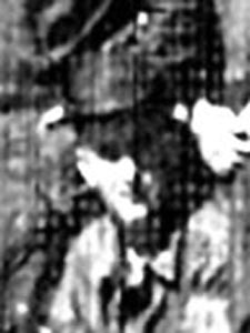 Robert Franklin Weimorts