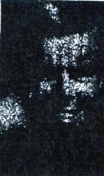 Headstone of William Thomas Jacobus