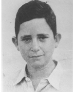 Amnon Zigelroit