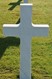 Peter K Wilson