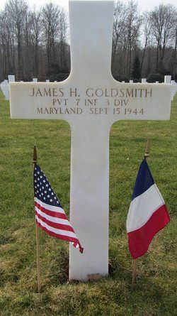James H Goldsmith