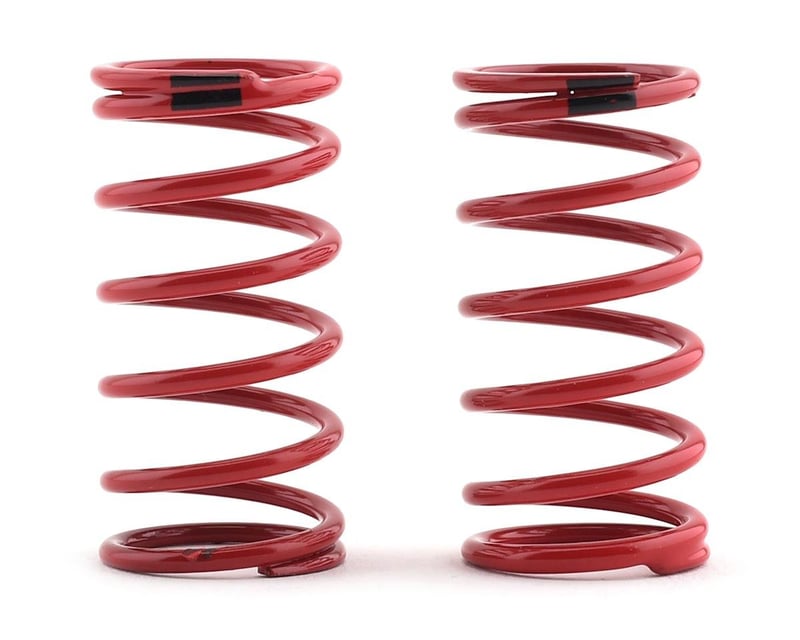 1/10 GTR Springs (4.4-Rate Black Stripe) (2)